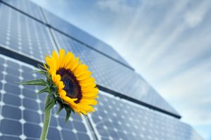 Jinko Solar signe le premier lot de commandes de stockage d'énergie domestique au Vietnam