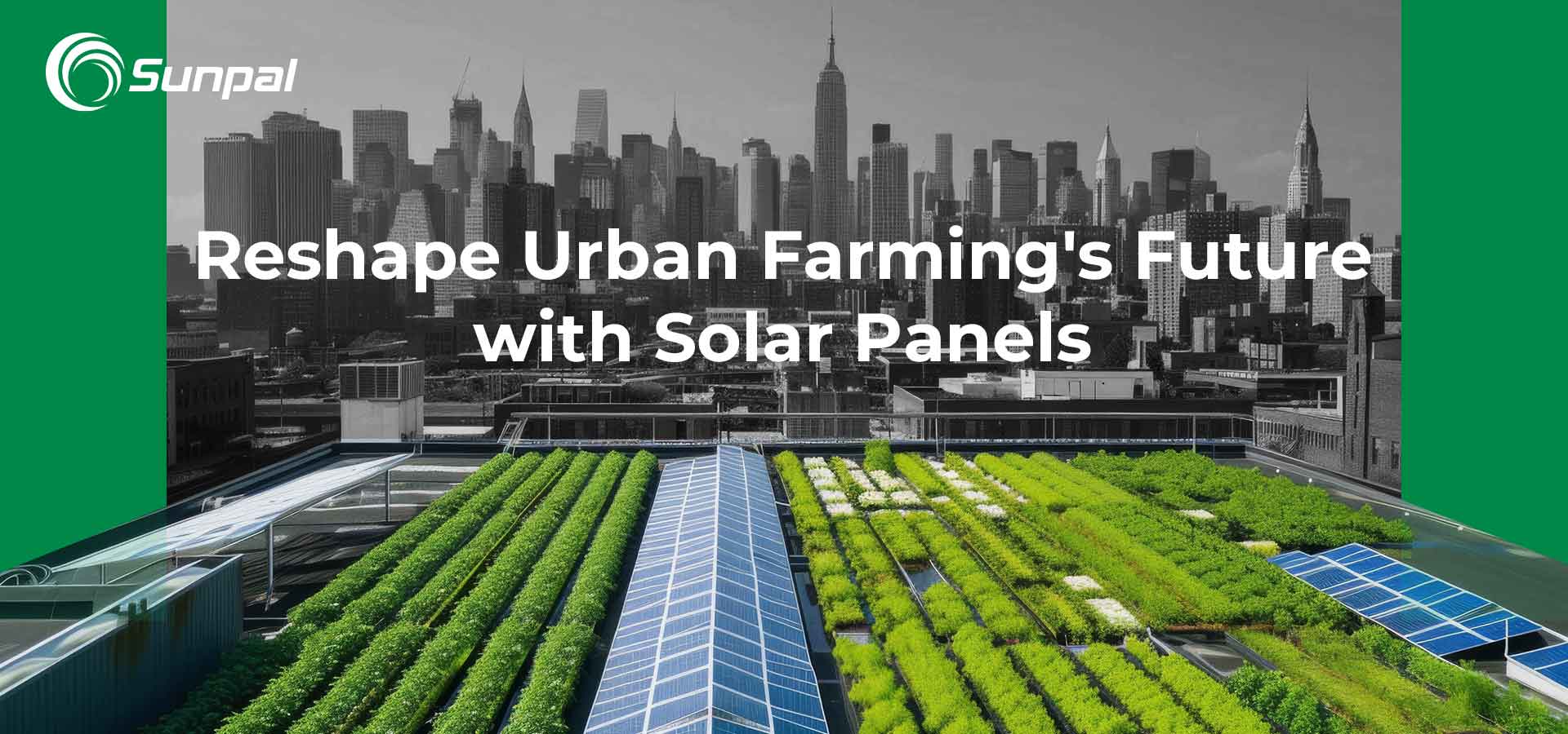 Toits solaires : remodeler l’avenir de l’agriculture urbaine